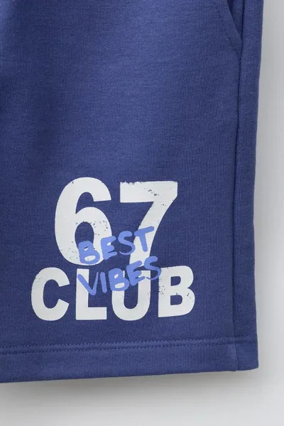 Бермуды VARSITY NUMBER, Синий — фото 4