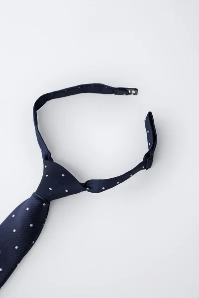 Галстук POLKA DOT, Синий — фото 2