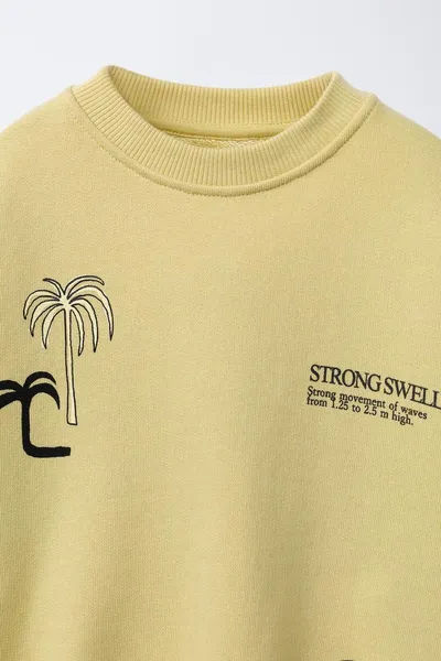 SURF PRINT свитшот, Стиранный — фото 3