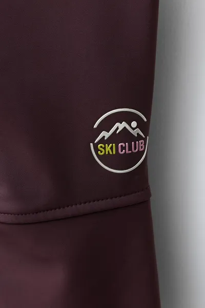 Водоотталкивающие и ветронепроницаемые брюки RECCO® SYSTEM SKI COLLECTION, Коричневый — фото 5