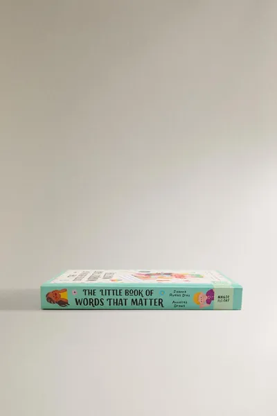 Детская книга «THE LITTLE BOOK OF WORDS THAT MATTER» (на английском), Многоцветная — фото 3